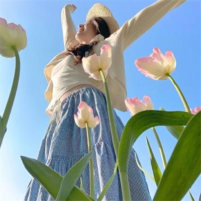 汗血宝马